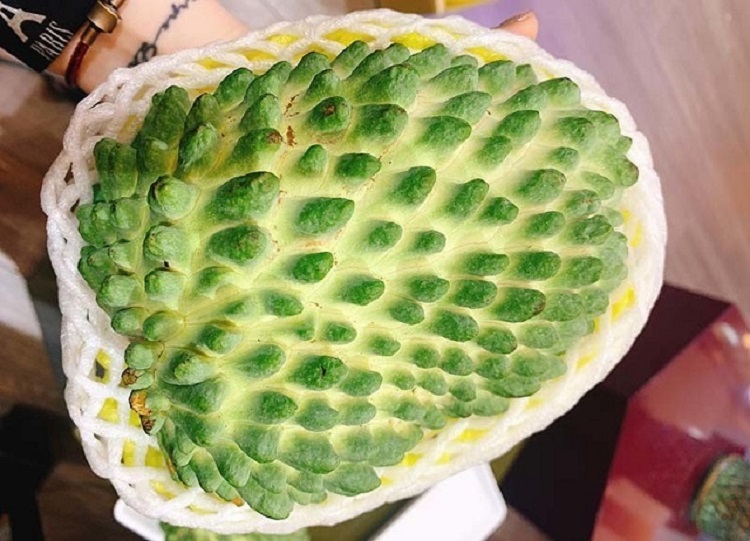Cây na dứa Đài Loan giống mới trái to gai nhọn ít hạt